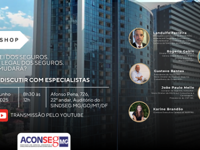 Workshop Aconseg-MG